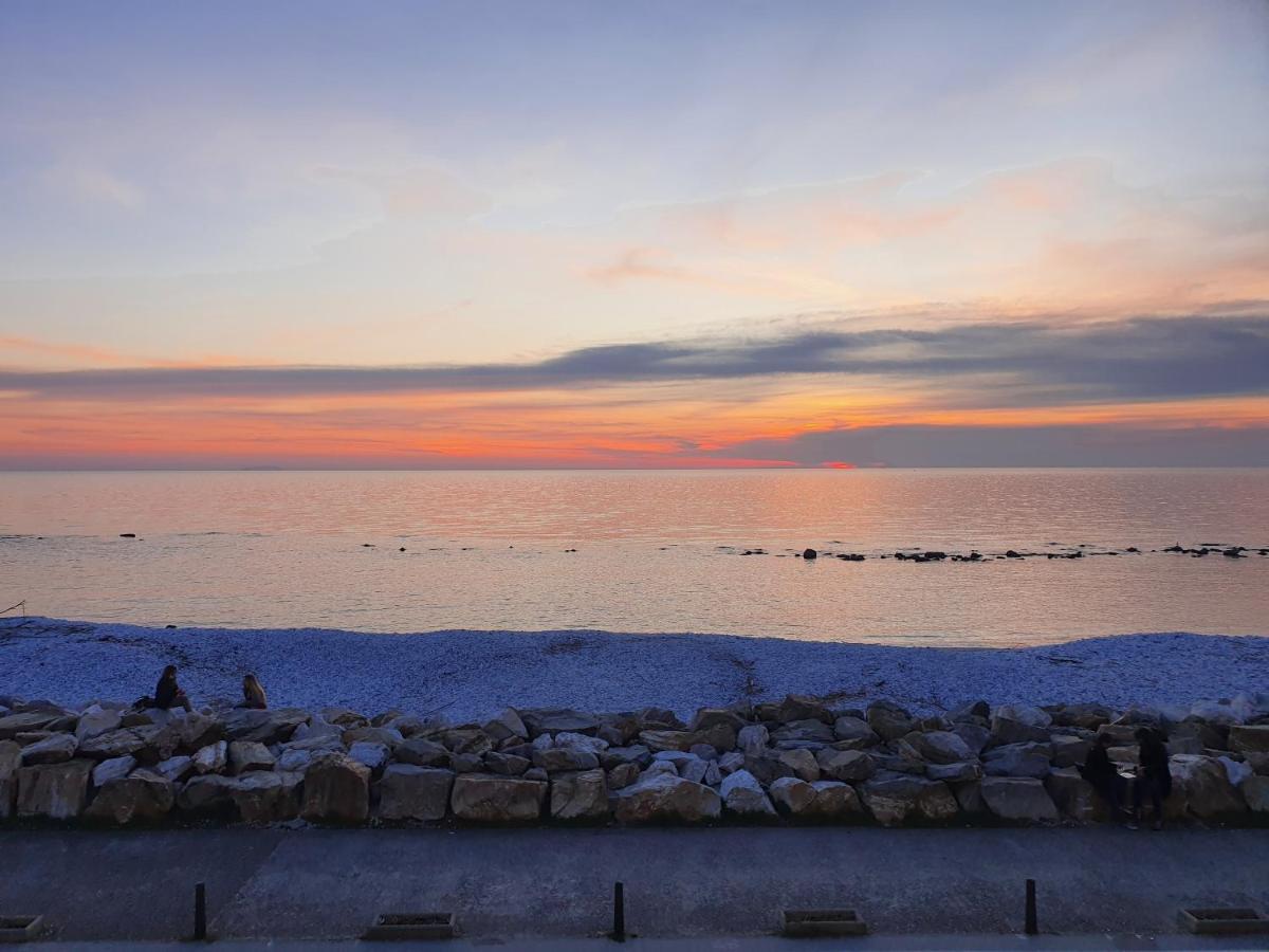 Annemarie B&B Marina Di Pisa Dış mekan fotoğraf