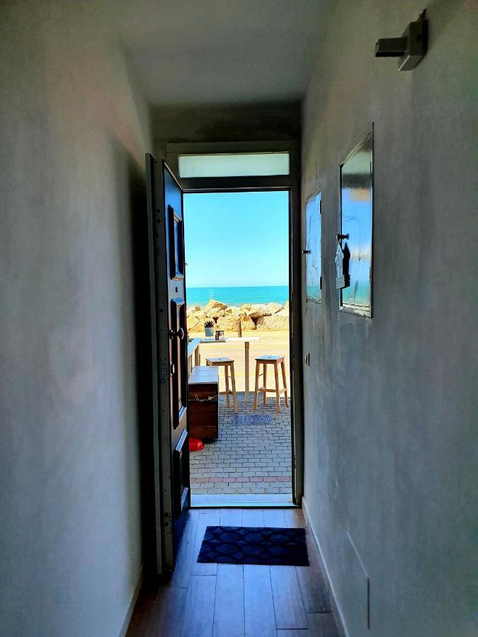 Annemarie B&B Marina Di Pisa Dış mekan fotoğraf